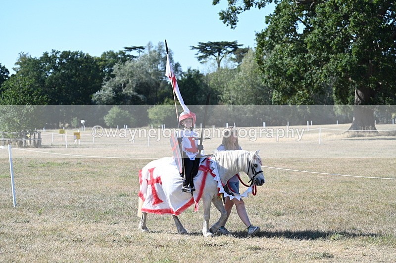 WJ7_2521 - Class 45 Fancy Dress (My Fav)