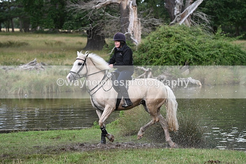 WJ7_4339 - Time at Water 12:52 to 13:22