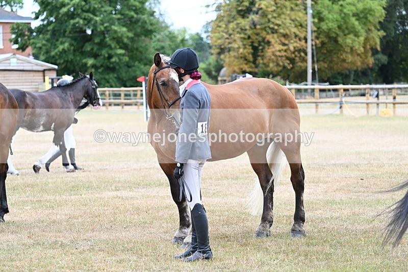 WJ7_9199 - Class 4a Prettiest Mare 14.2hh and over