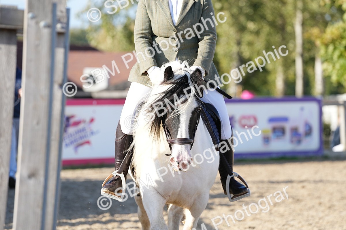 SBM_28963 - J43 - Horse & Hound Open 50cm