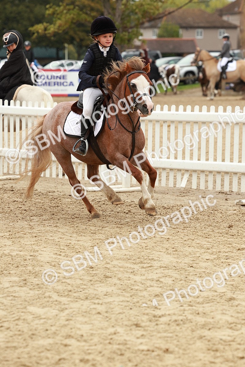 SBM_69163 - J13 - Junior Pony 60cm Championship
