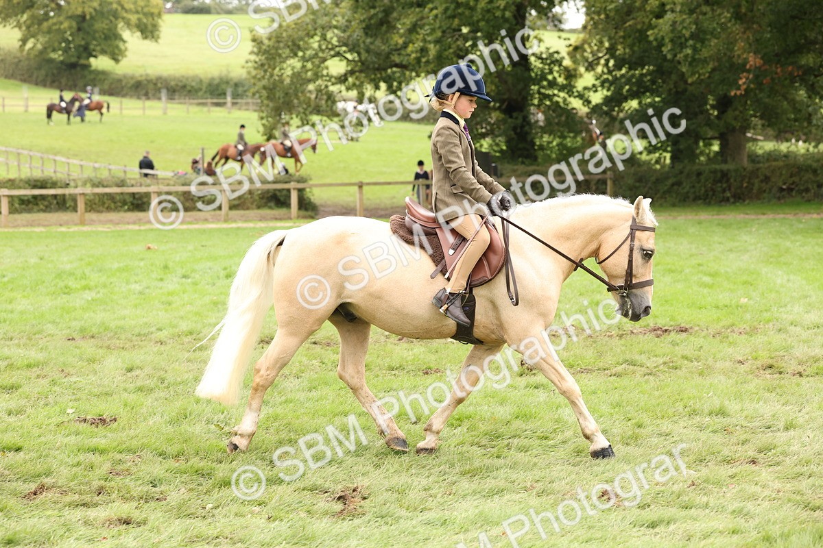SBM_63043 - S64 - Foreign Breeds Ridden