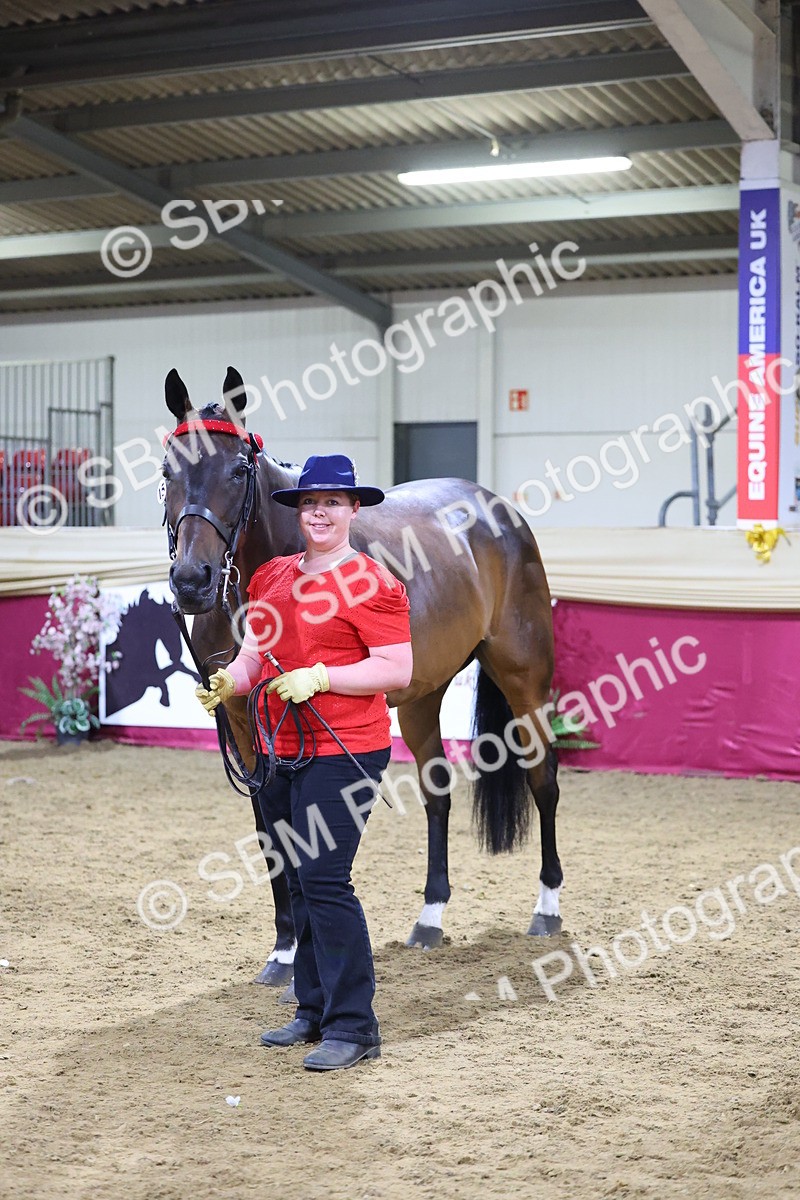 SBM_19177 - Class I Competition/ Riding Club Champ