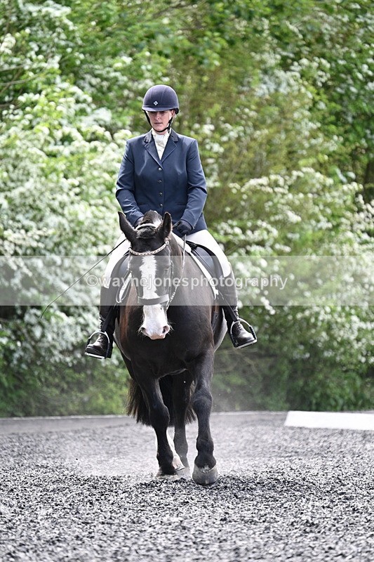 WJ7_9010 - Time 11:32 to 11:54