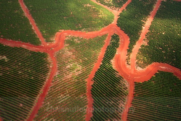  - Australian and American Landscapes