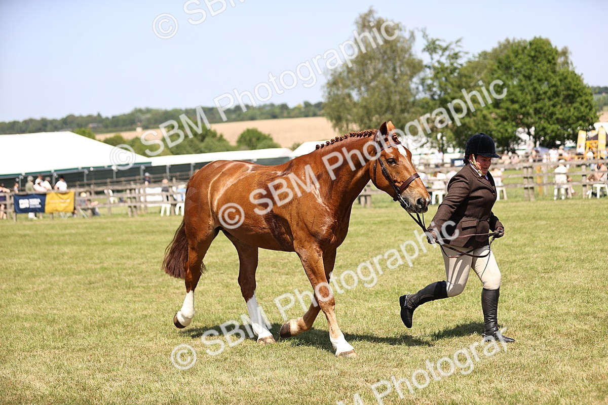 SBM_17775 - Class 81-83 - TSR Ridden Amateur of the Year - Horses