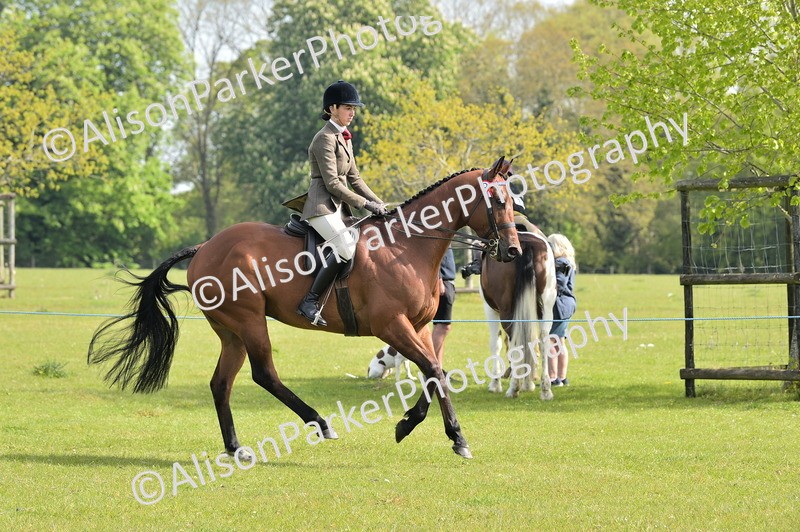 20260426-1147 - Class 19 - Retraining Of Racehorses