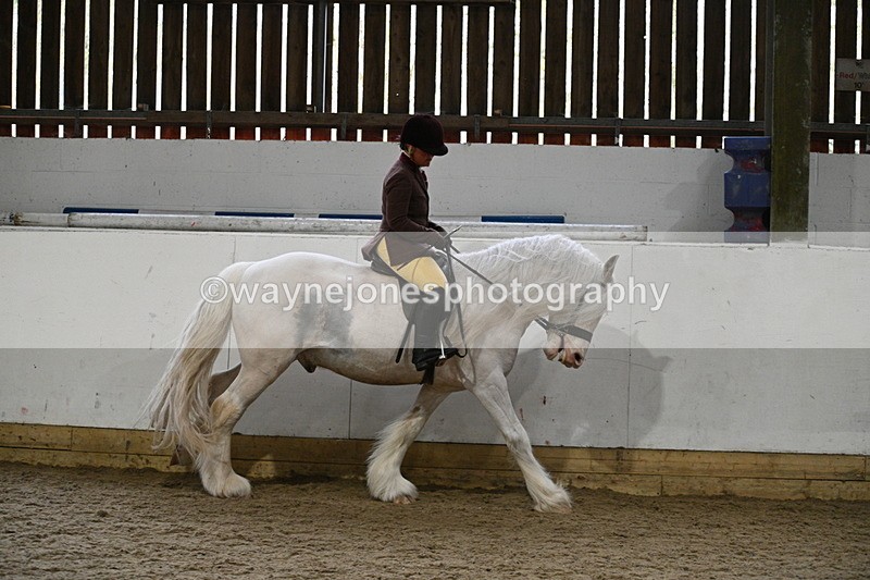 WJ7_3807 - Class 17 Ridden Cob