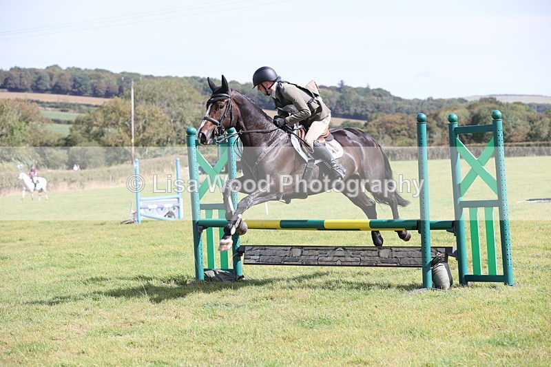 JPP_8963 - Class 2: Trekenning: 80cm Showjumping