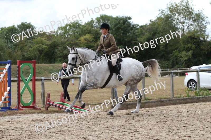 20260831-2735 - Class 16 and 17- Ridden Cob and Hunters