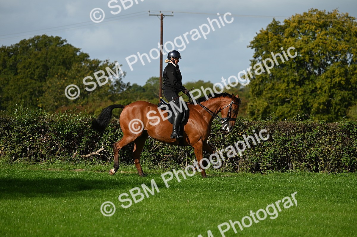 SBM_01269 - S2 - TSR Ridden Horse Showing