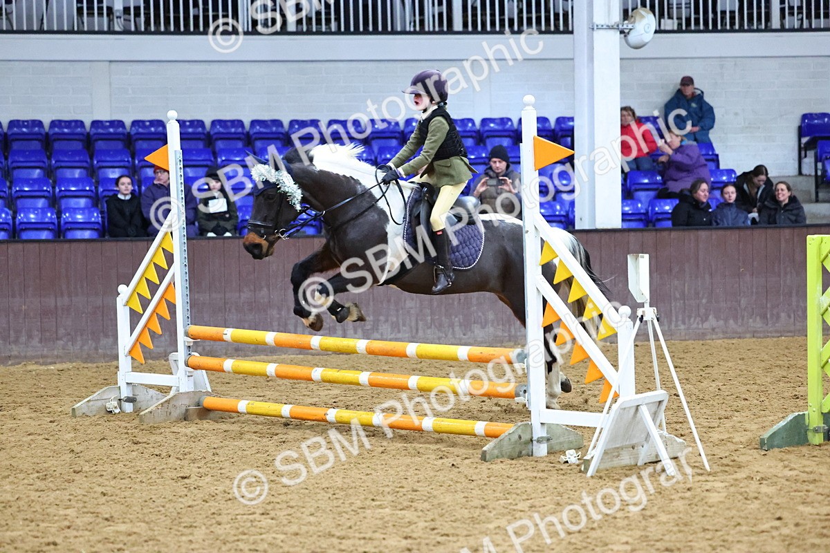 SBM_001473 - Class 3 - Christmas Tree Stakes - 60cm