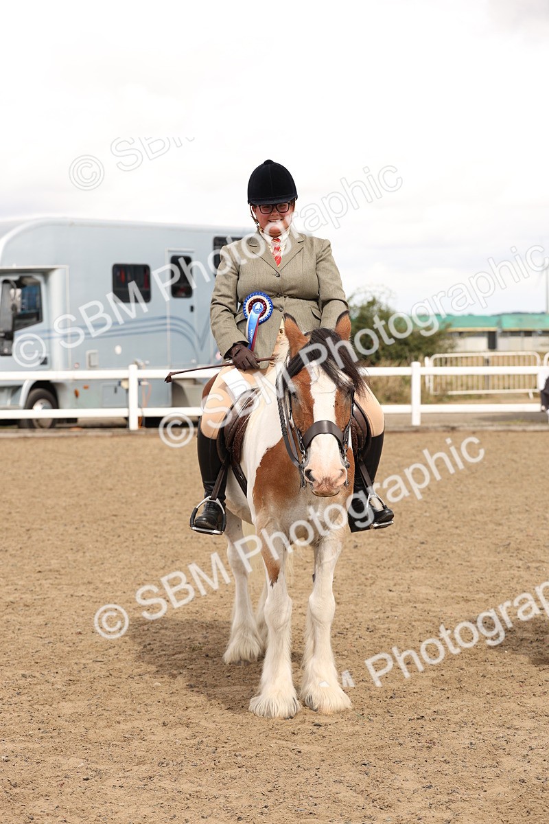 SBM_05239 - Class 56b -  Style & Performance - 50cm (20+)