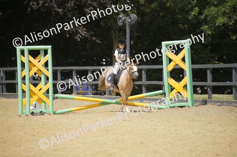 20250622-4063 - 50cm