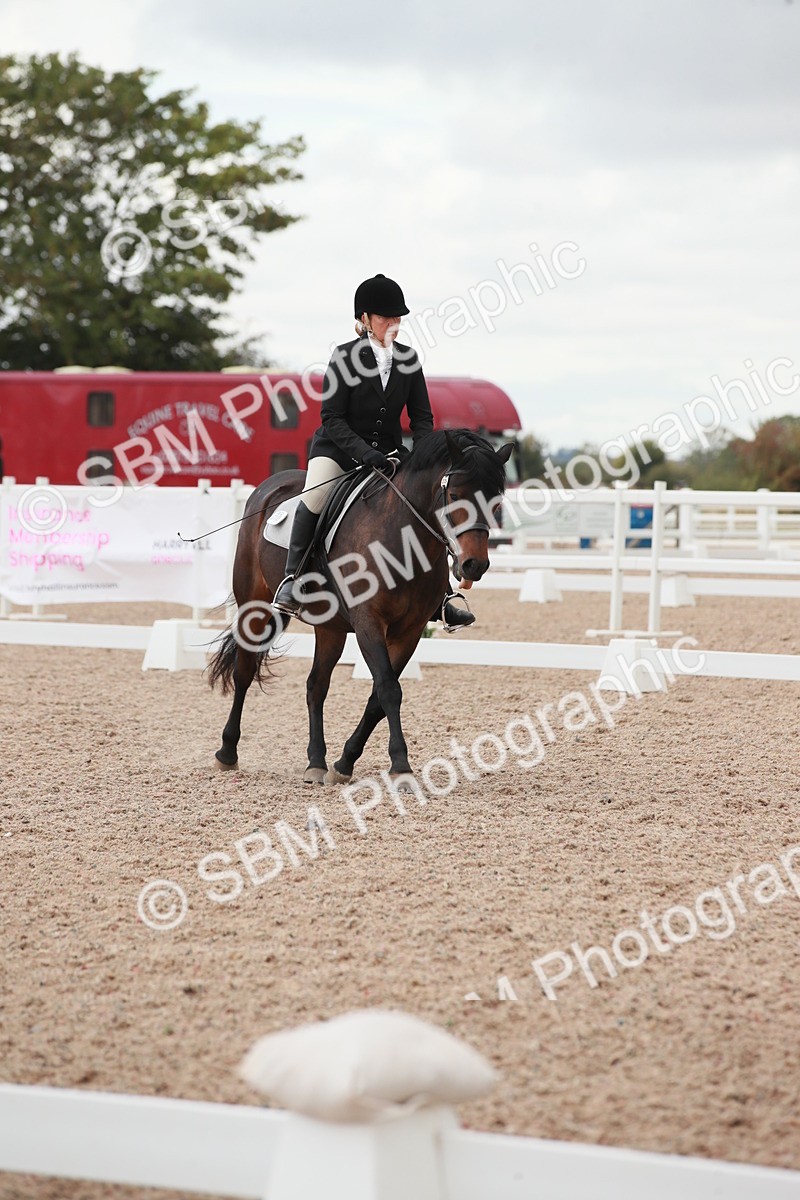 SBM_03749 - Class 31 - Prelim 1