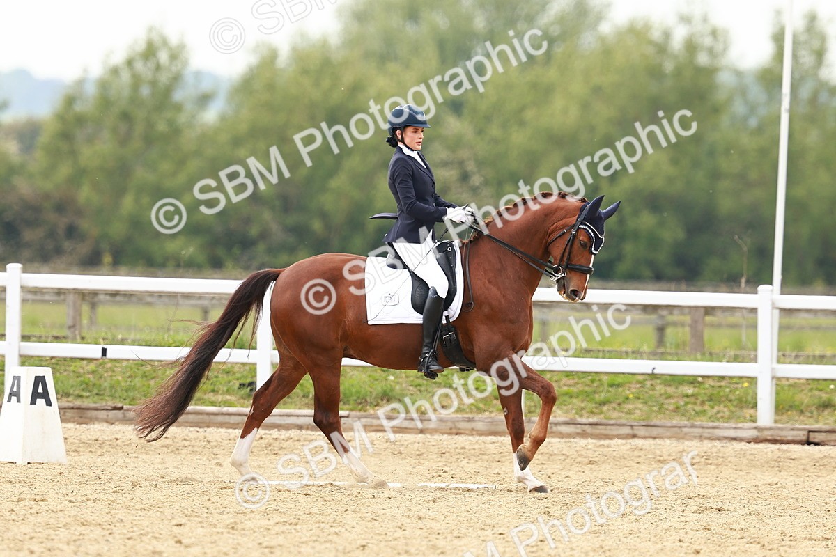 SBM_002772 - Class 12 - Medium 4