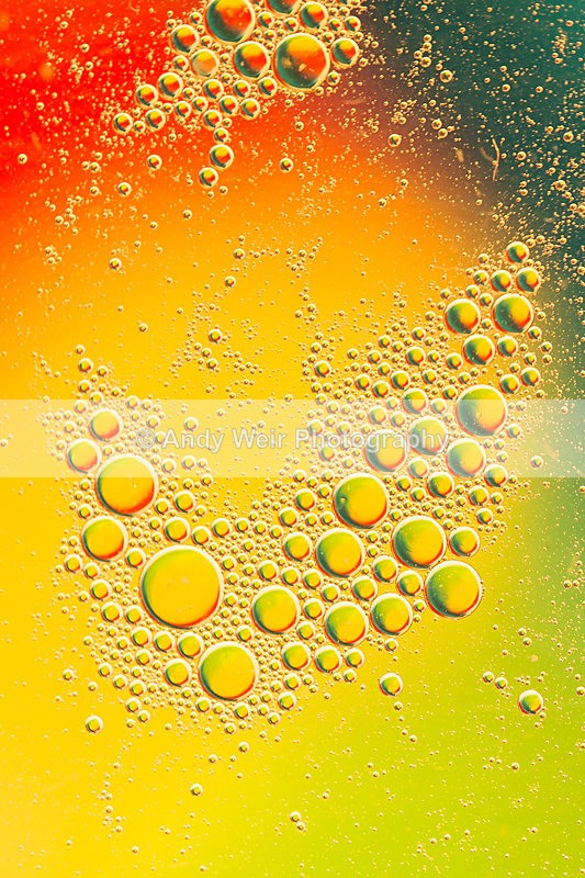20140204-3K8A8690 - Oil & Water