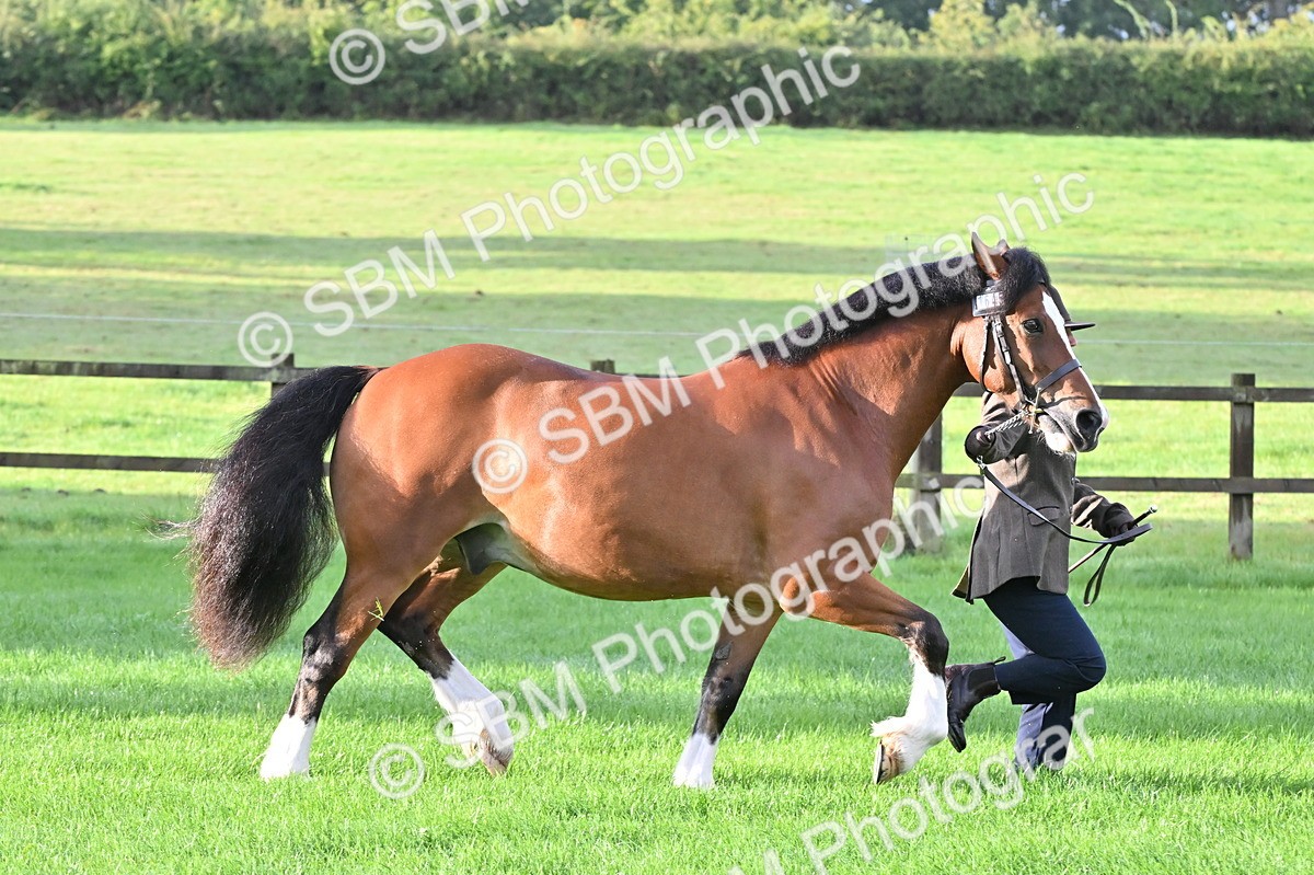 SBM_32614 - S15 - Top Turnout In Hand