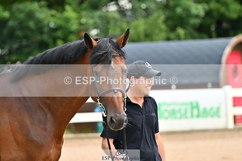 240718A-105236-00879 - Trot Up 11am to 12pm