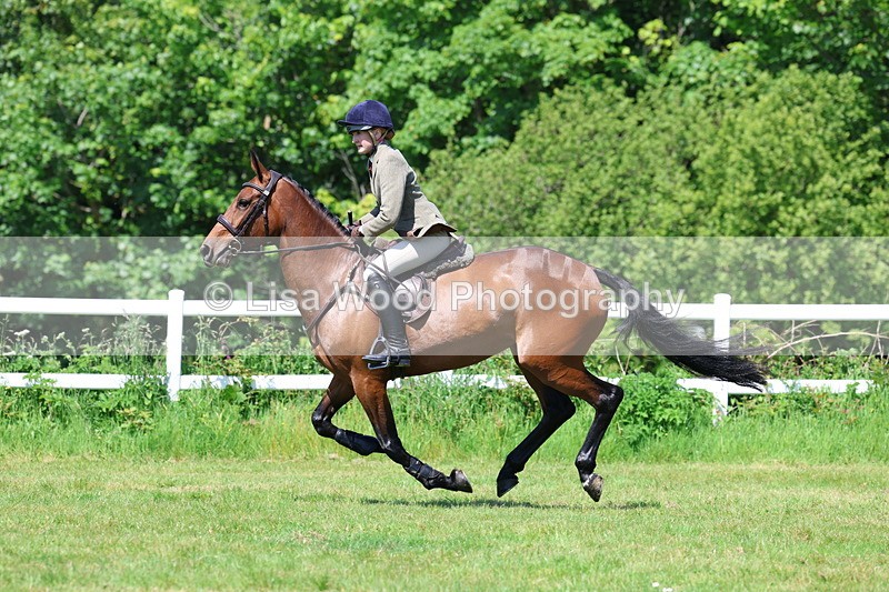 3E7A6990 - Class 30: Novice Working Hunter