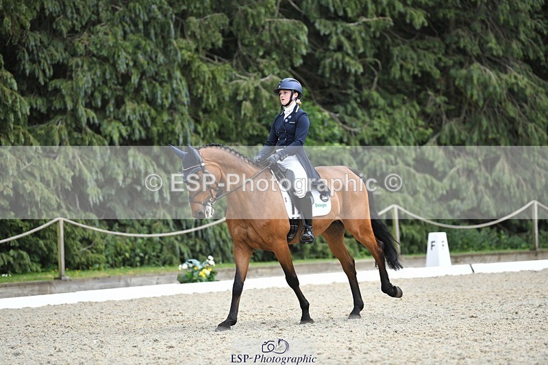 230525-154340-03293 - 329-VINTAGE_GRAFFITI-Alice_Hallows-WEDTrotUp+DR