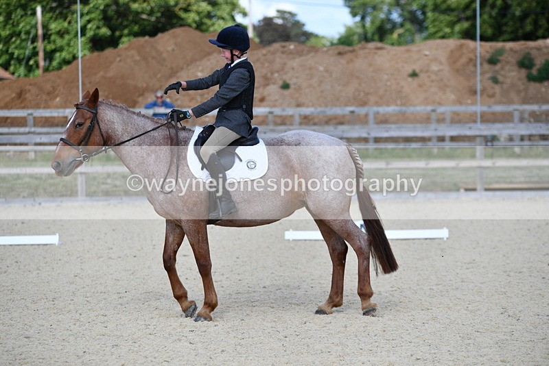 WJ5_8042 - Time 16:56 to 17:14