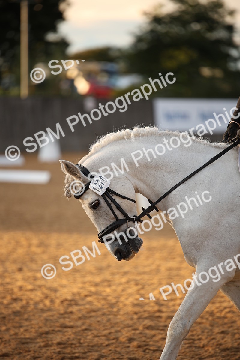 SBM_13338 - D3 Small  Tour Championship Intro A
