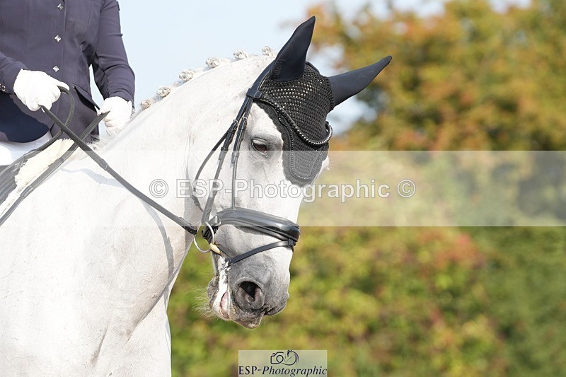 250817-092753-07542 - 122-Stacey.BlunnDiamond.Bobby