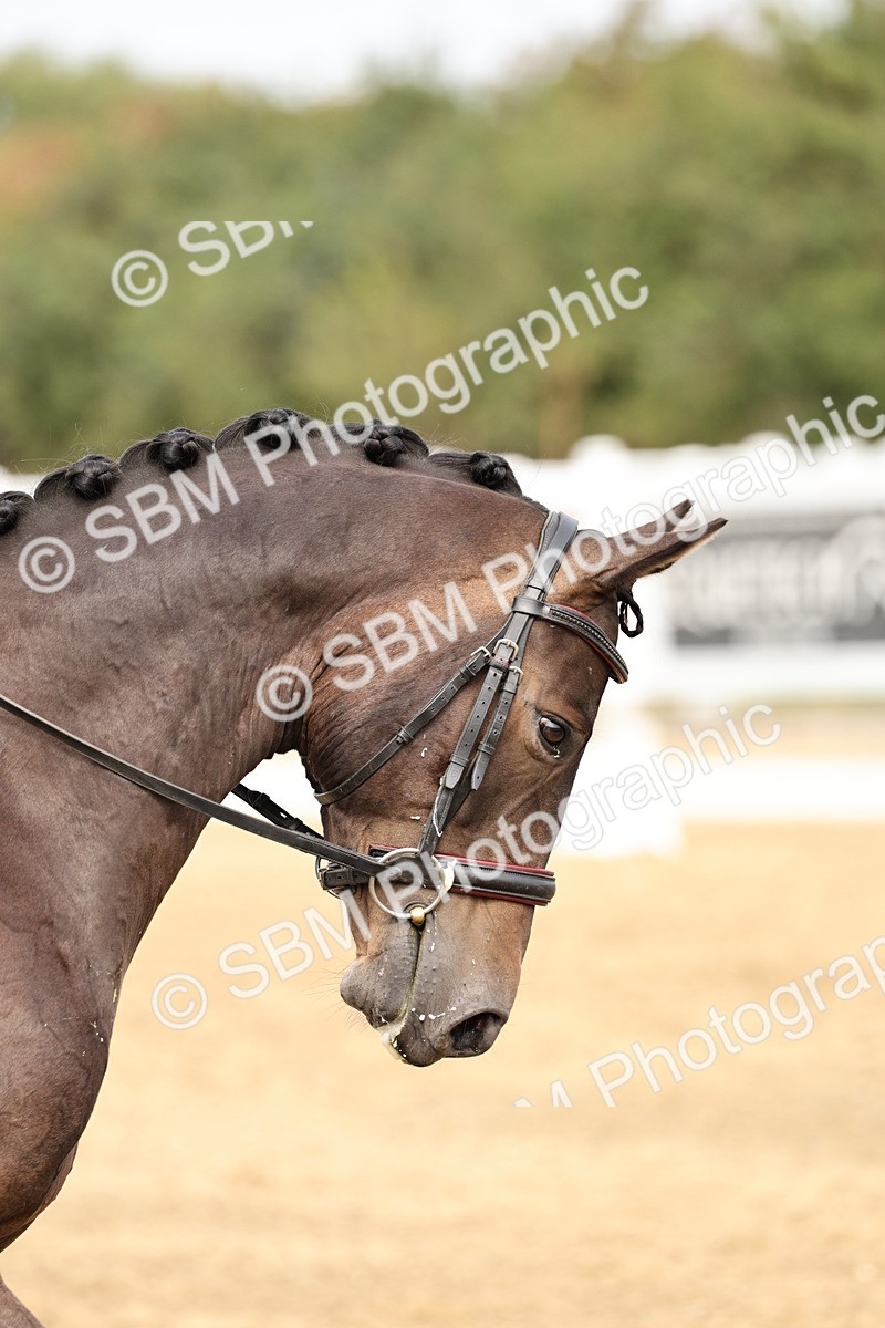 SBM_012407 - Class 2 - Prelim 5