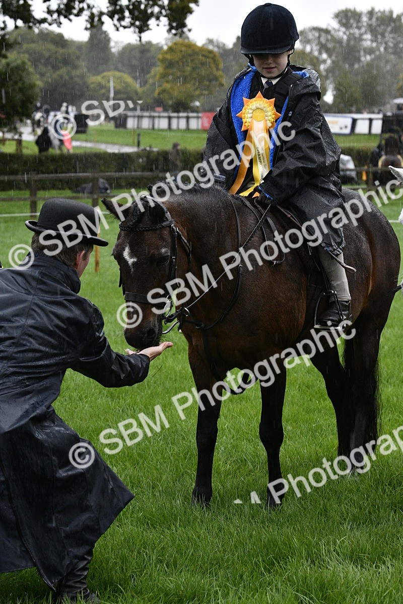 SBM_35594 - S30 - Nursery Stakes Working Hunter Pony