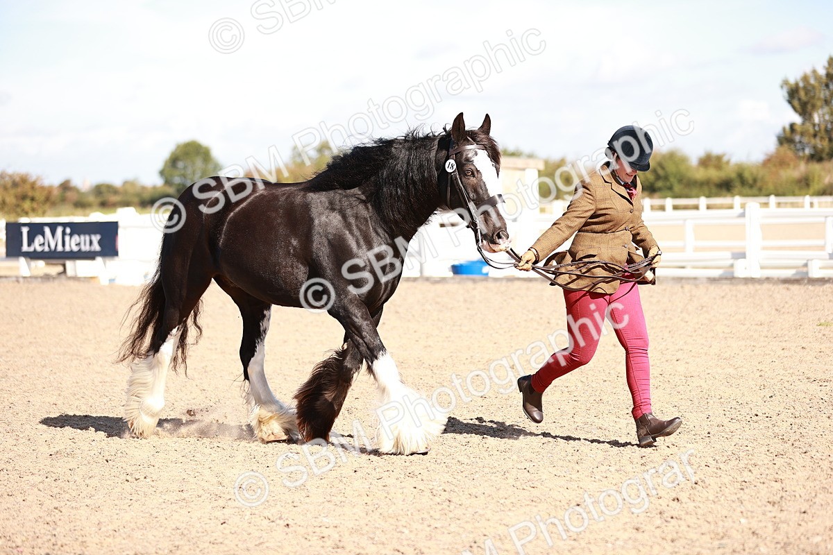 SBM_12614 - Class 404 - IH Traditional - Native Cob