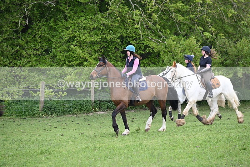 WJ6_3098 - A camera