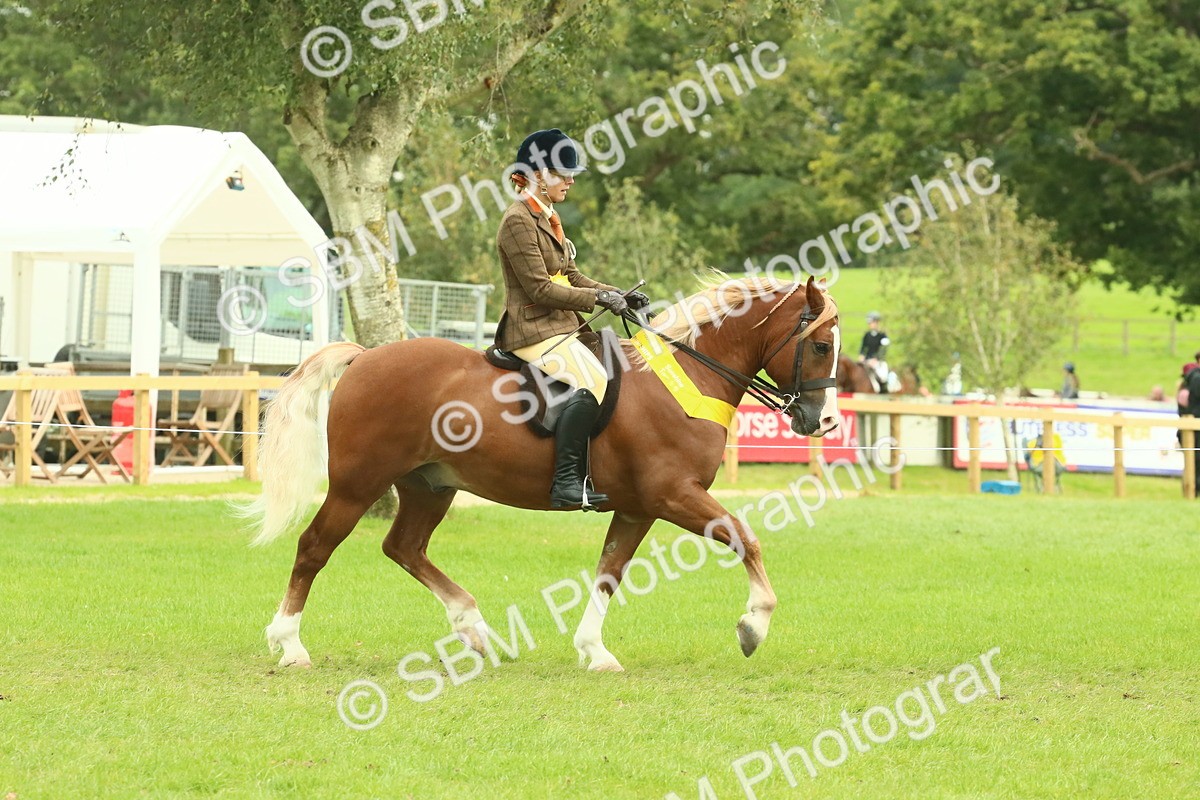 SBM_75007 - Ridden Pony Supreme Championship