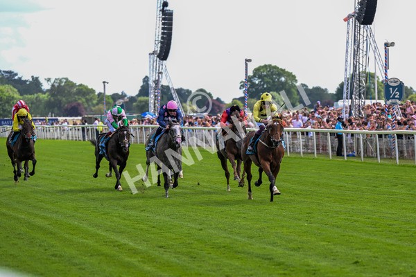 280625-Race 4-Hankelow-0305 - Race 4 3.40pm Al Basti Equiworld Dubai Novice Stakes