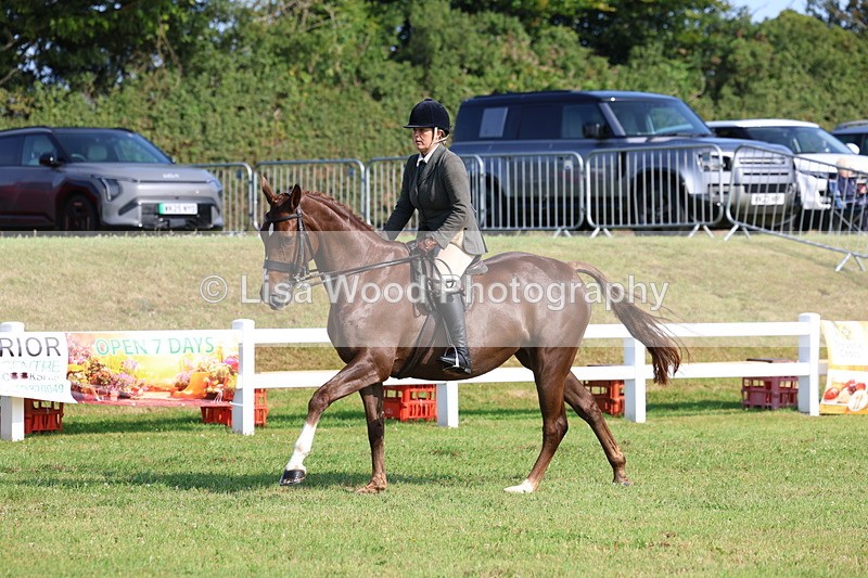 3E7A8589 - Class 3: Rising Star S/L Hunter