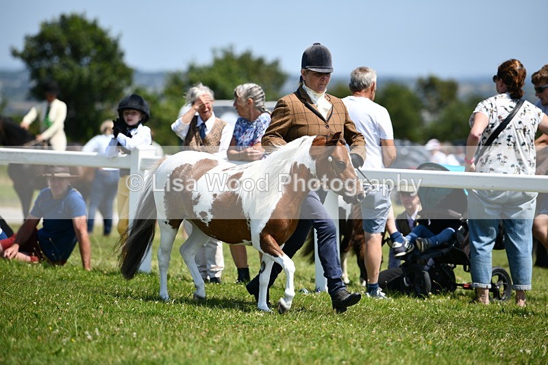 DSC_7593 - Class 64: Coloured Pony 4yrs & over