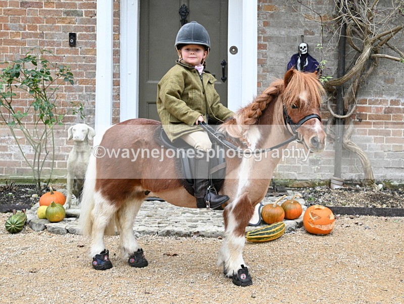 WJ7_6765 - Berks & Bucks - Children's Meet - The Old Farmhouse – Steventon.
