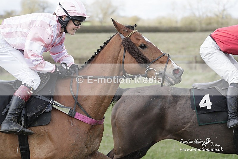 PtP 180323 722 - Shelfield Park Races with Croome & West Warwickshire Hunt  18/03/23