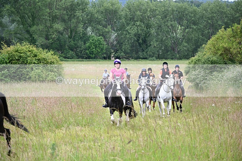 WJ6_8388 - Camera 1 Gallops