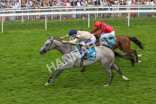 270724-Race 4-Greydreambeliever-4718 - Race 4 4.00pm Sky Bet Club EBF Fillies' Novice Stakes
