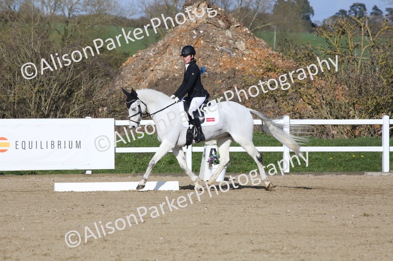 20260314-5220 - DR6 - Novice 2