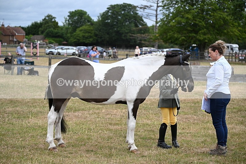 WJ6_4308 - Class 10 Coloured In-hand