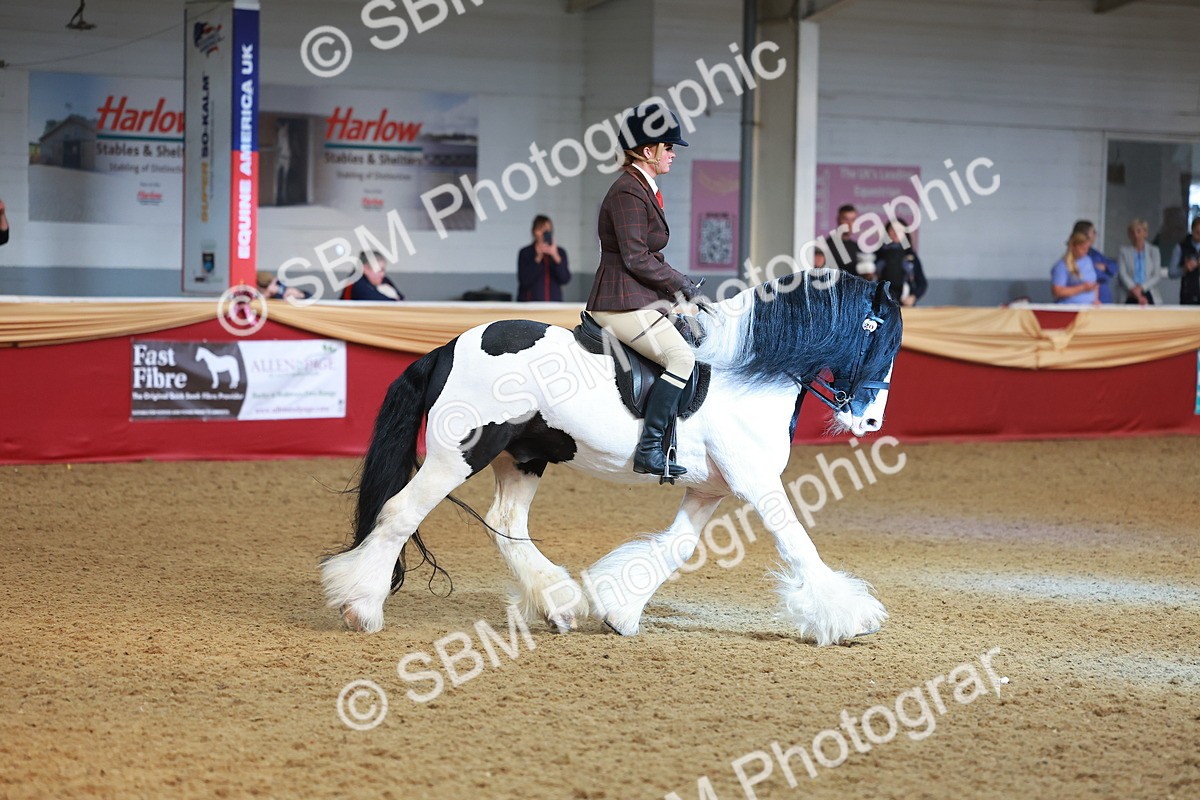SBM_09748 - Class 102 - HOYS Veteran Qualifier - Ridden Veteran