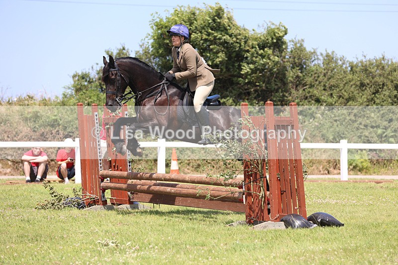 JPP_2556 - Class 21: Working Hunter 60cm