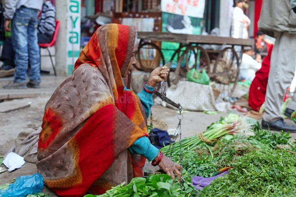  - Indian - People, Culture, Wildlife & landscape
