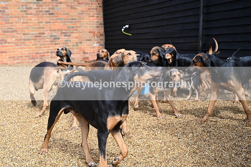 WJ7_7014 - Berks & Bucks at Blandy’s Farm 31-08-25