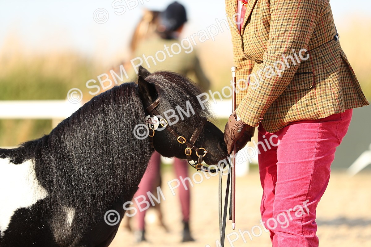 SBM_08997 - Class 29 IH Veteran Pony