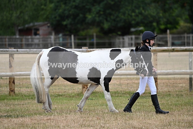 WJ6_4154 - Class 10 Coloured In-hand