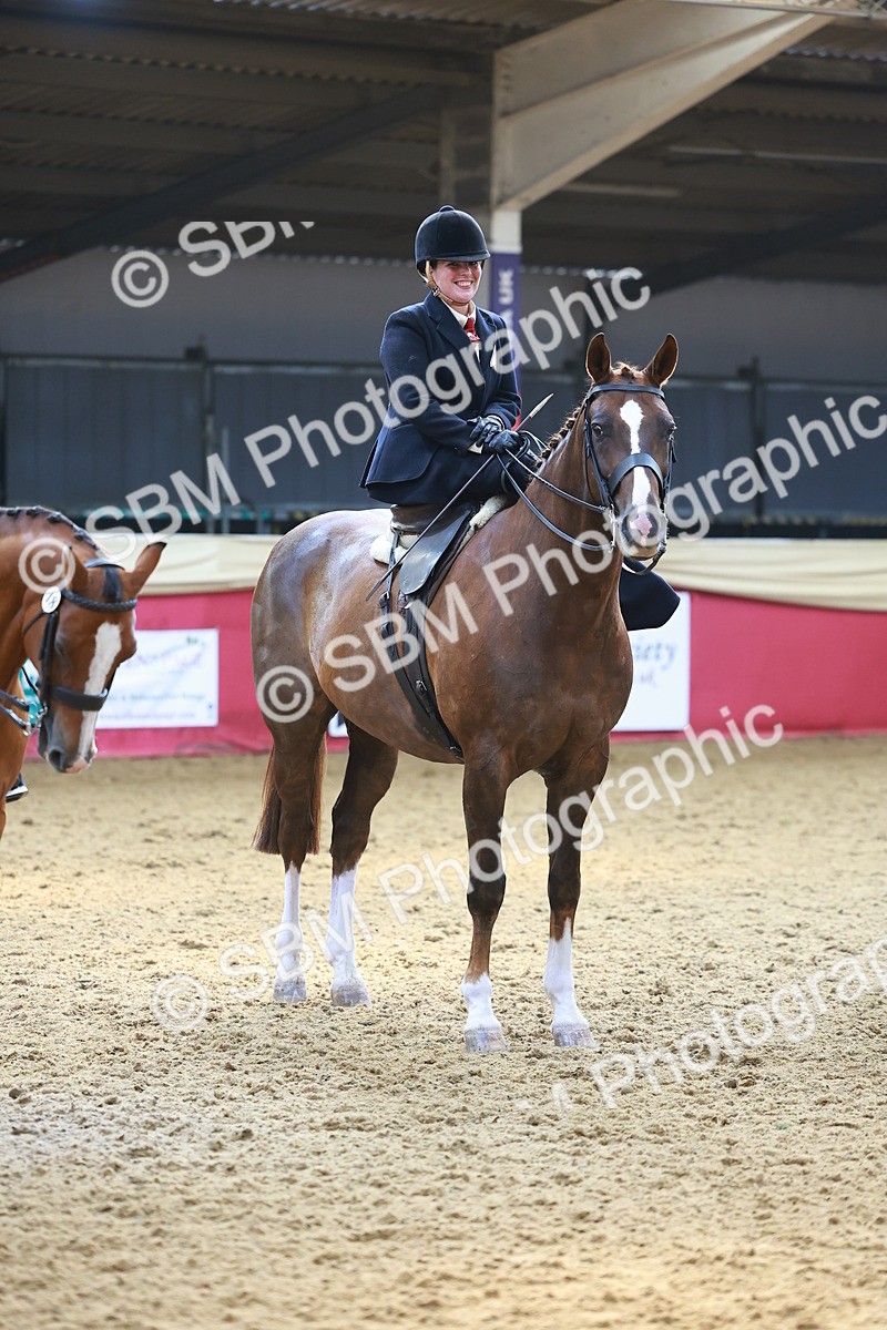 SBM_12646 - Class 103 - HOYS Veteran Qualifier - Ridden Pre Vet
