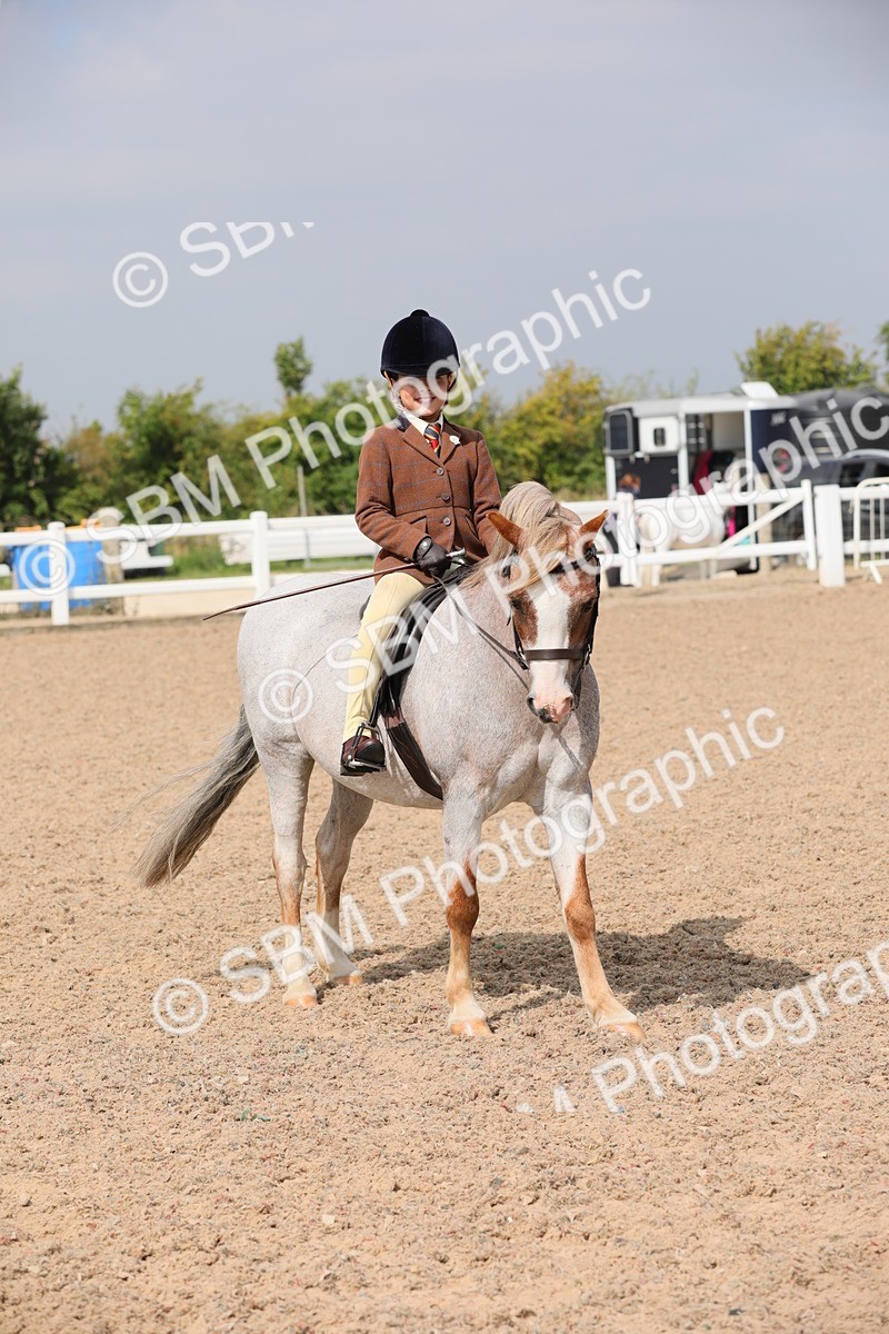 SBM_12827 - Class 307 Ridden Coloured Pony